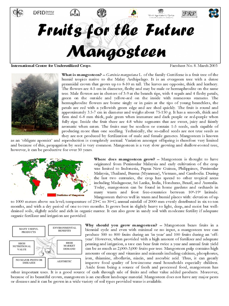 Fruits For The Future Mangosteen PDF Organisms Plants