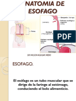 Anatomia Del Esofago 1