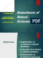 Natural Occlusion Concepts