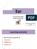 Neuroanatomy of Ear