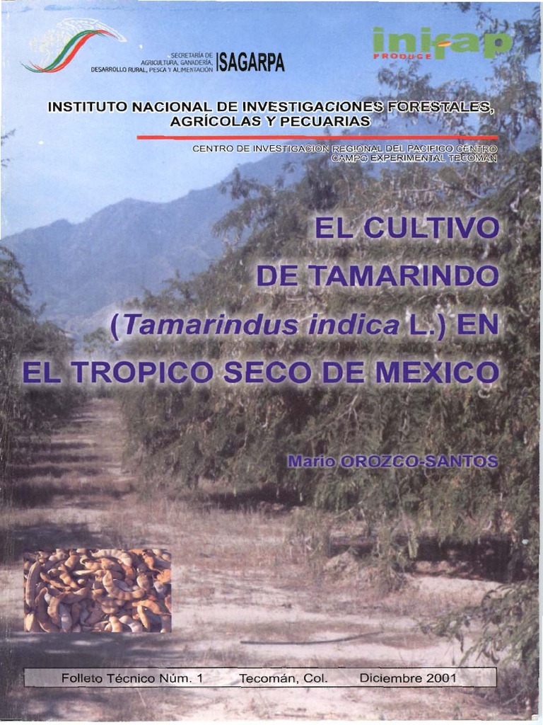 61 Michoacan Injerto Arboles