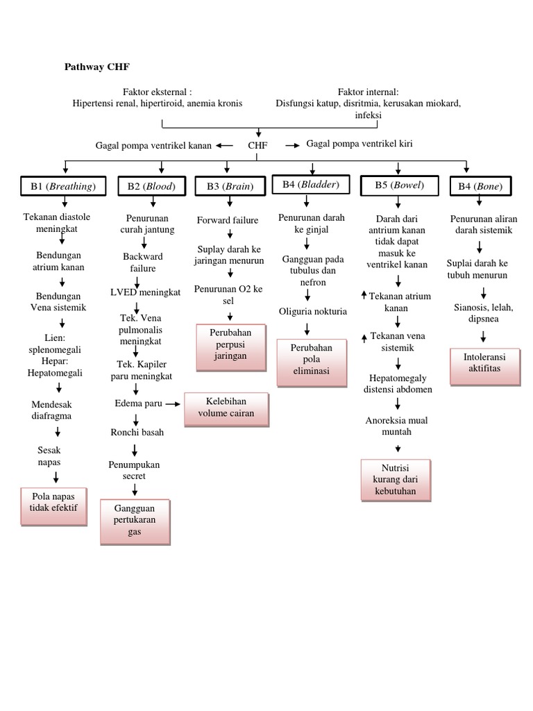 Pathway Gagal Jantung Kongestif | PDF
