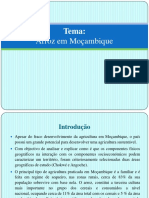 producaodearrozemmocambique-130824054131-phpapp01