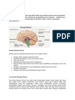 Kelenjar Pineal Atau Disebut Juga Organ Pineal Adalah Organ Endokrin Berukuran Kecil Yang Terletak Pada Otak Besar Di Bawah Corpus Callosum Dan Menghasilkan Hormon Melatonin