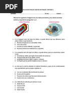 Evaluacion Finalde Ciencias Naturales Periodo Ii 6° 2018