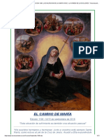 El Camino de Maria . Edicion 1198. La Exaltacion de La Santa Cruz . La Virgen de Los Dolores. Toda Situación de Sufrimiento Es También Una Situación Pascual