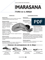 abeja.pdf