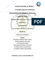 Tecnológico Nacional de México: 5º Semestre, Grupo L