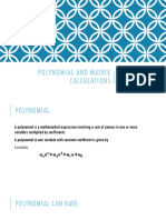 Polynomial and Matrix Calculations