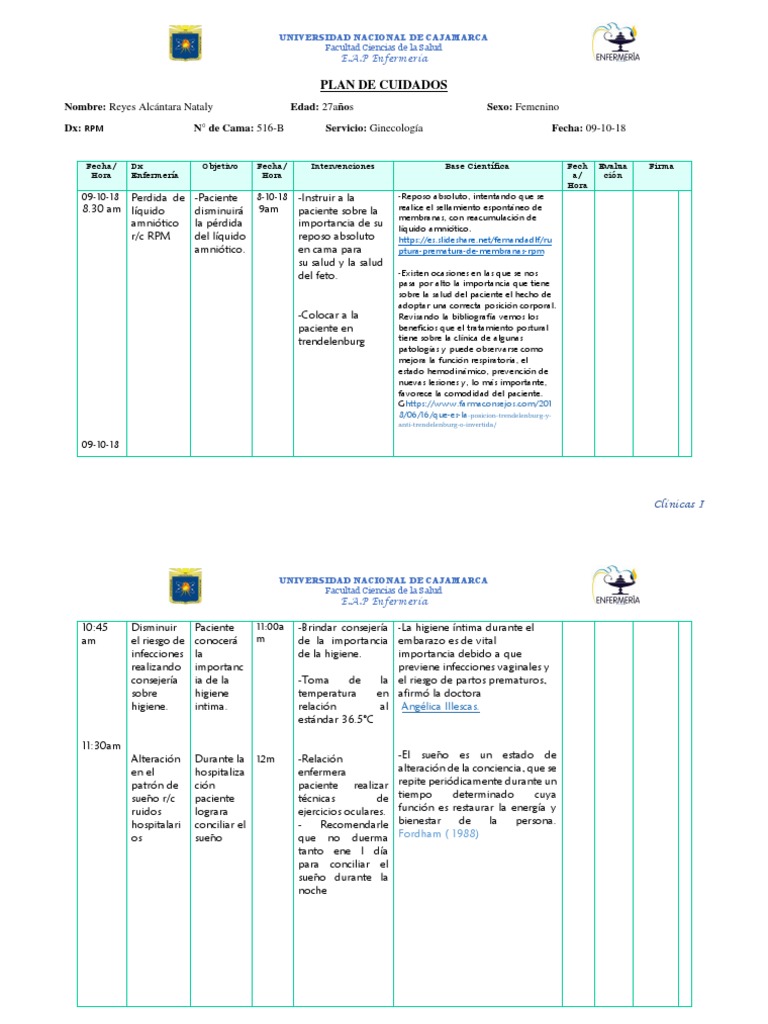 Plan de Cuidados en RPM Ginecológica | PDF | Enfermería | Dormir