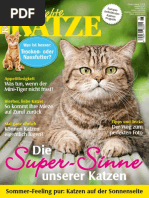 6geliebtekatze0617