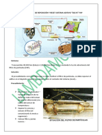 REPOSICIÓN RESET SISTEMA ADITIVO EOLYS FAP