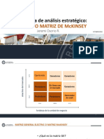 PDF Matriz GE