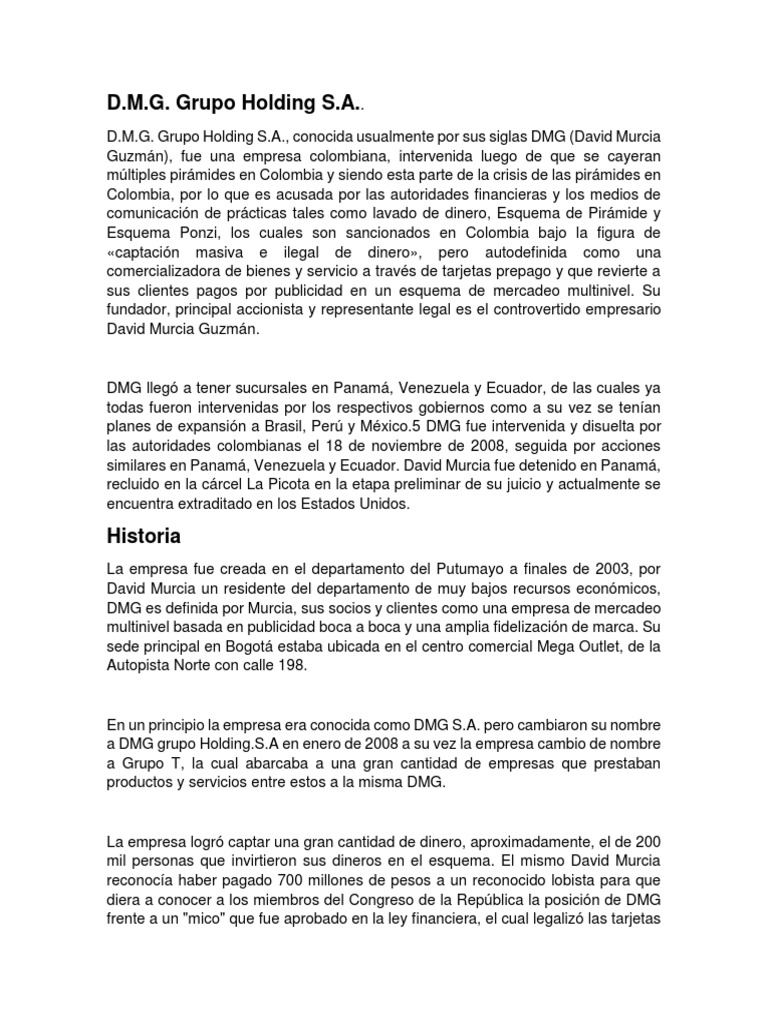 Dmg grupo holding s.a de