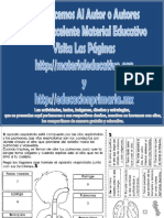 Fichas de Cuerpo PDF