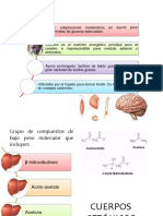 Cetolisis