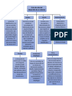 Ciclo de Vida Del Desarrollo de Un Sistema