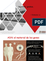 N 12. Ingenieria Genetica PDF