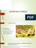 Enter o Bacterias