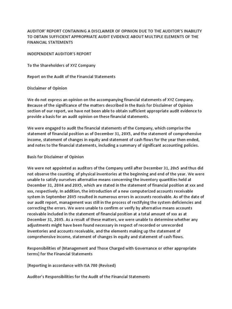 disclaimer-auditor-s-report-audit