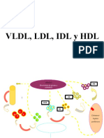 VLDL, LDL, Idl, HDL