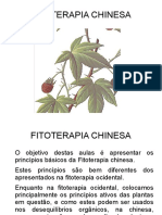 Aula de Fito Chinesa