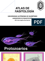 Atlas de Parasitología
