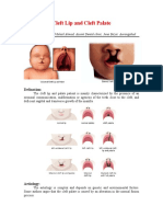 Cleft Lip and Palate Surgery Prosthesis
