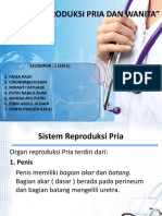 Kel 1 Sistem Reproduksi