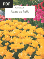 Gradinarit in Orice Anotimp - 8 PDF | PDF