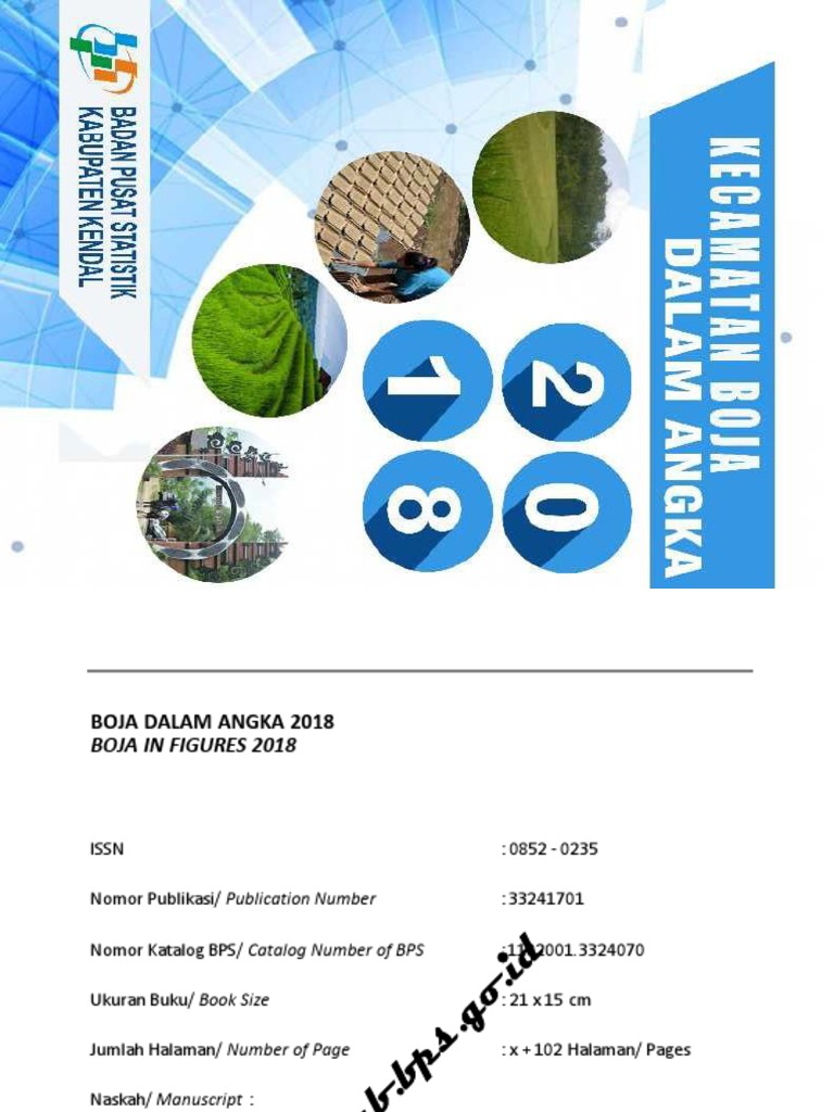 Statistik Boja 2018: Data & Analisis | PDF