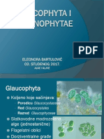 Glaucophyta I Prasinophytae