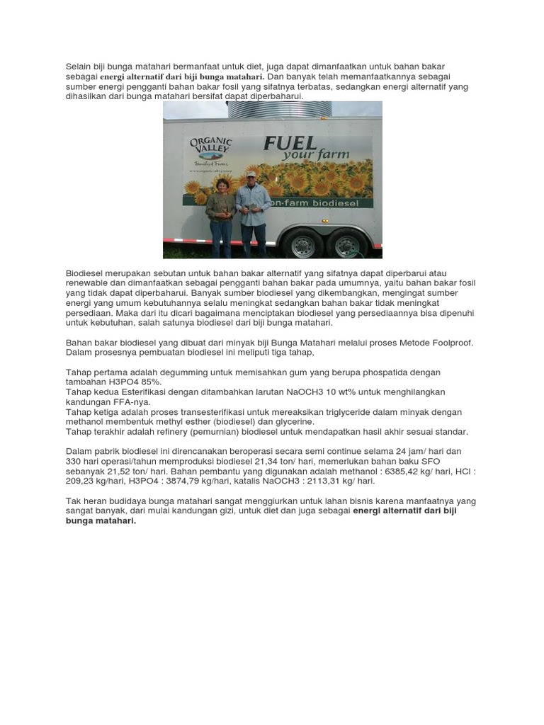 Contoh Tanaman Yang Bisa Dimanfaatkan Sebagai Bahan Bakar Alternatif