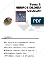 neurobiologia_celular.pdf