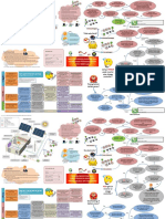 17-08-16 Poster Troubleshooting PLTS