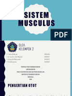 Sistem musculus.pptx