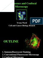 Fluorescence and Confocal Micros