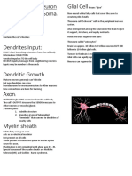 Structures of A Neuron