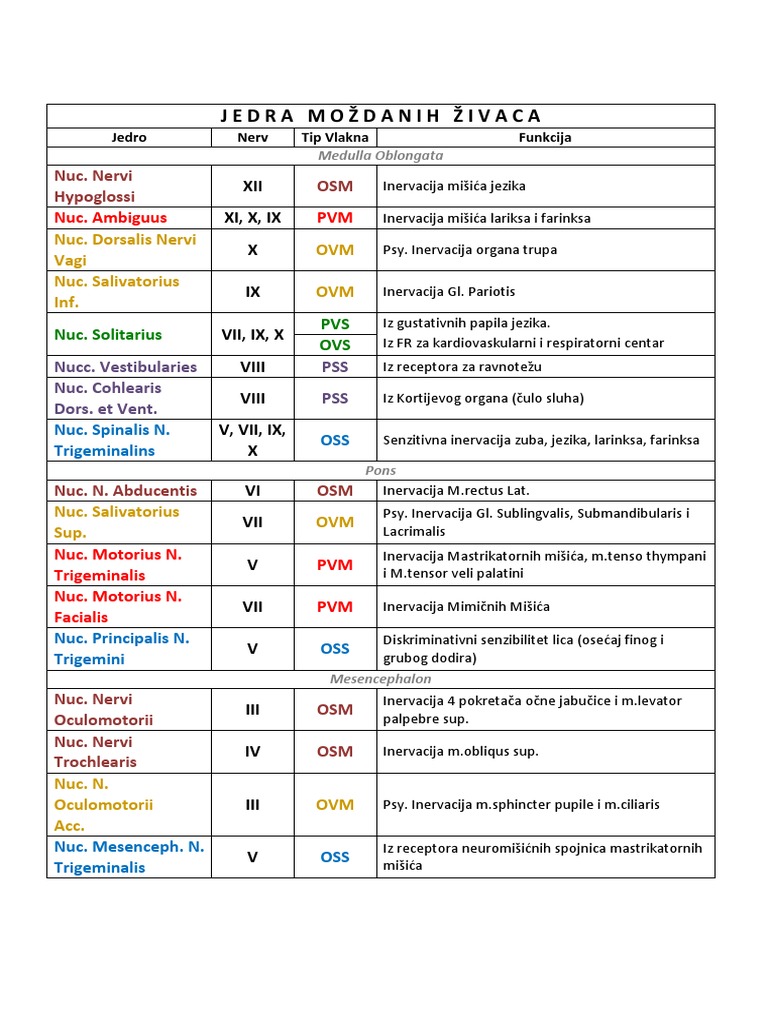 Jedra Mozdanih Zivaca PDF | PDF