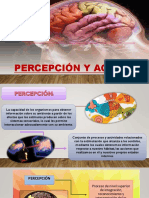 PERCEPCIÓN-Y-AGNOSIAS.pptx