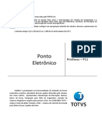 Processos Ponto Eletronico.pdf