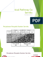 Clinical Pathway CA Serviks