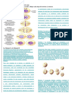 taller deciencias naturales grado sexto mitosis.docx