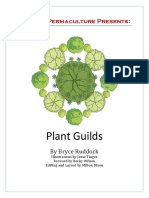 Plant Guilds eBooklet - Midwest Permaculture.pdf