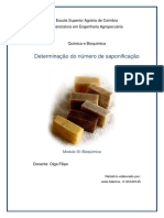 Relatório Bioquimica (Saponização)