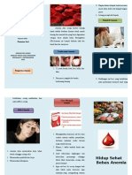 Leaflet Anemia