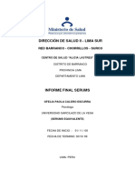 informe final serums.pdf