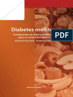 Diabetes Completo PDF