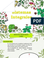 Sistemas Integrales