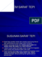 Sistem Saraf Tepi